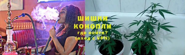 гидропоника Гусев