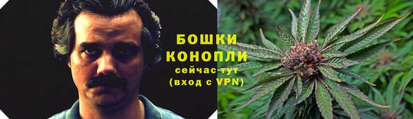 шишки Баксан