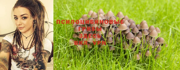 PSILOCYBIN Балахна