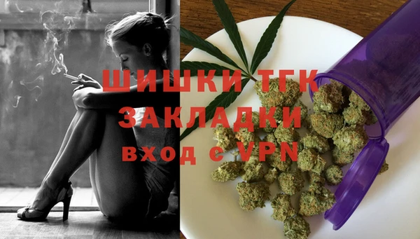 шишки Баксан