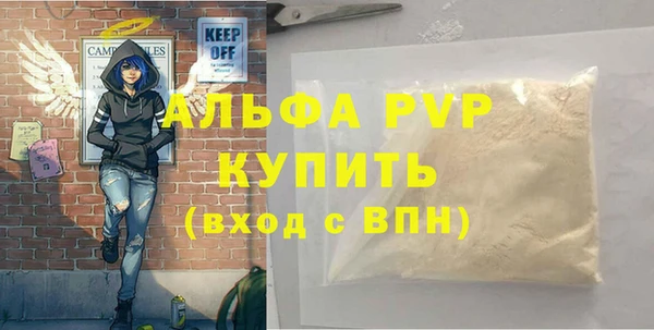 PSILOCYBIN Балахна